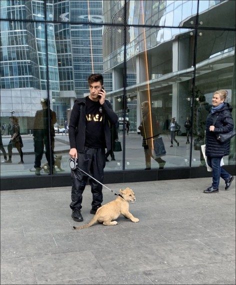 Забавная подборка дня Забавная подборка дня