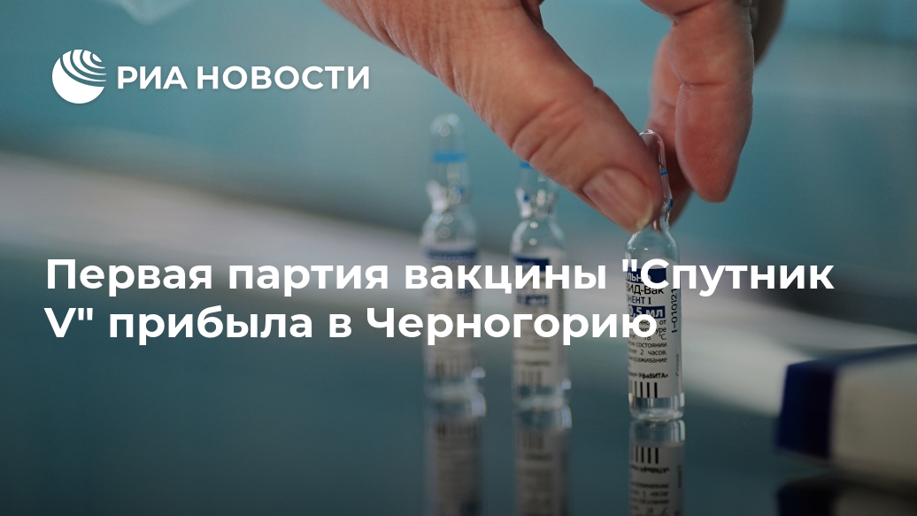 Первая партия вакцины "Спутник V" прибыла в Черногорию Лента новостей