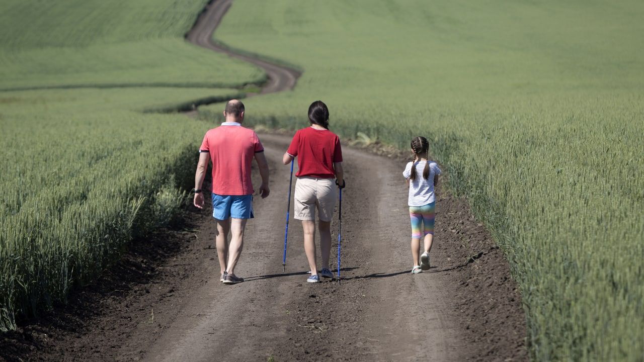 Экс-депутат ГД Вострецов: России необходимо создать министерство внутреннего туризма