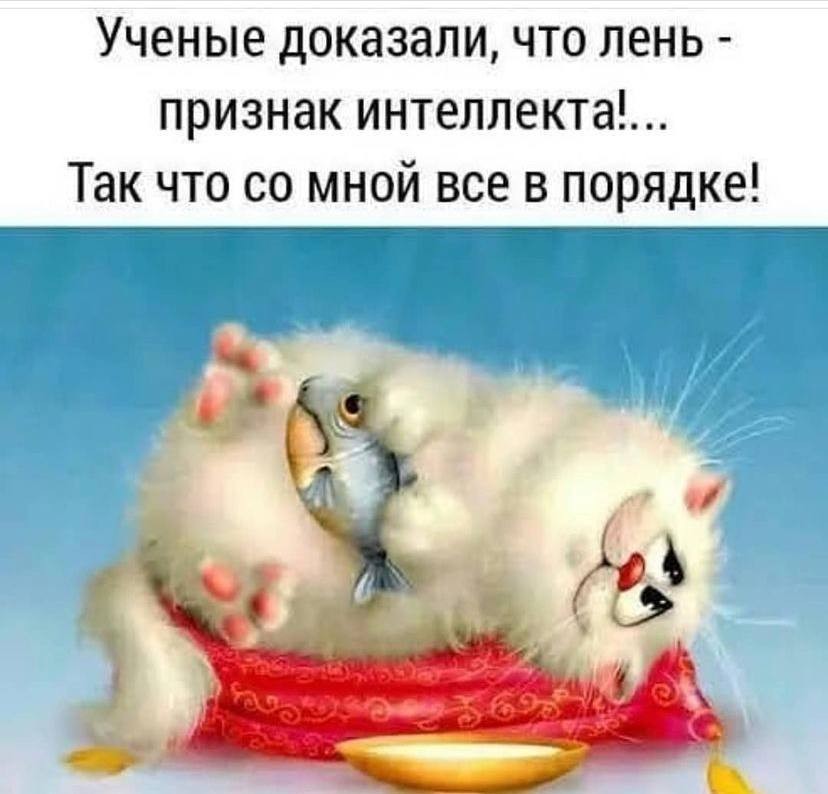 Шуточки которые скрасят ваш день! 