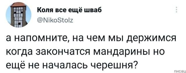 Праздник к нам приходит, праздник к нам приходит... позитив,смешные картинки,юмор