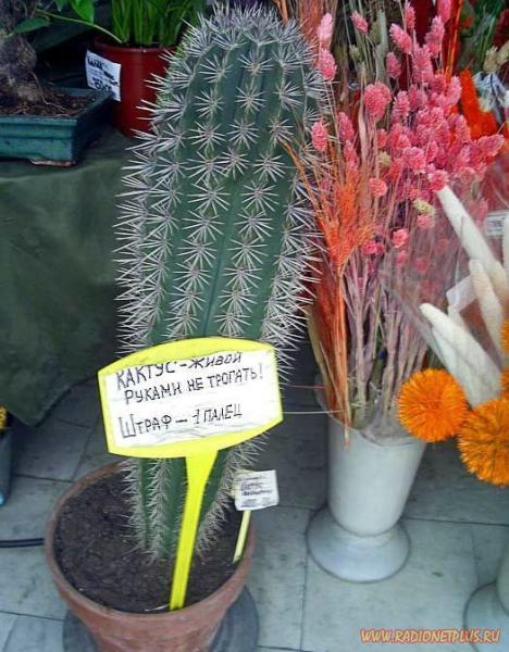 Давайте улыбаться вместе! :) №170912