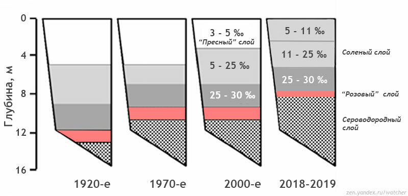 Результаты исследований экспедиции 2019-2019 гг. в сравнении с данными предыдущих измерений. Поверхностный слой уже не пресный, стал тоньше - всего 2 метра. "Розовый" слой уменьшился и стал выше. Сероводородный слой занимает половину озера. Рисунок автора на основе измерений из доклада "Морское озеро Могильное: сто лет одиночества" (2014) и экспедиции РГО.