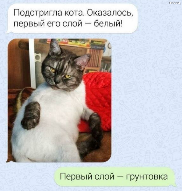 СМС-бомба. Будьте осторожны, здесь реально смешно! СМС-бомба. Будьте осторожны, здесь реально смешно! смешные картинки