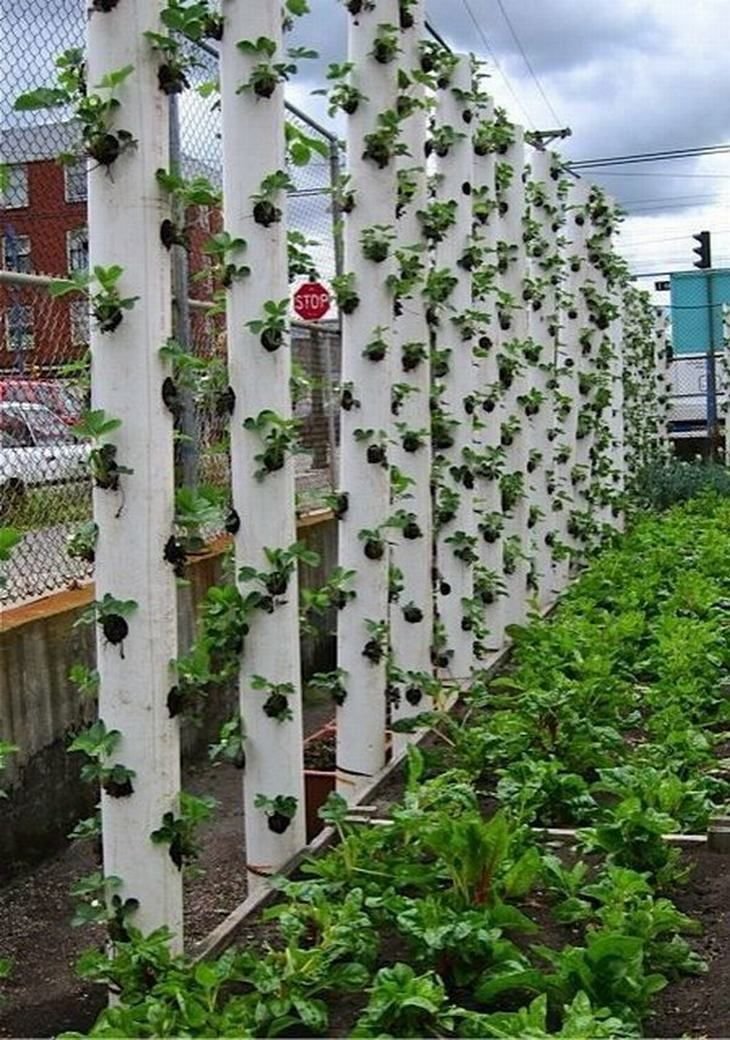 аккумулятор зеркальных вертикальный огород своими руками фото древности его
