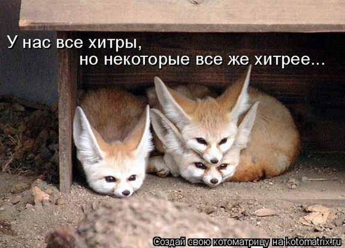 Мысли вслух :)