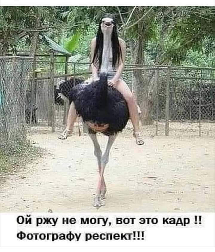 ЗАЧЕМ СЕГОДНЯ Я СКАЗАЛ ЧТО ХОЛОСТОЙ ЗАЧЕМ СЕГОДНЯ Я СКАЗАЛ ЧТО ХОЛОСТОЙ веселые картинки