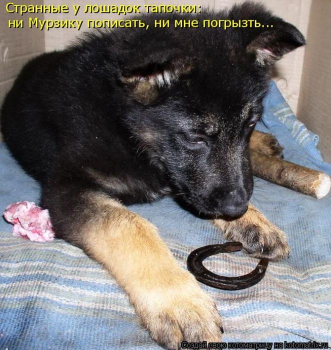 Мысли вслух :)