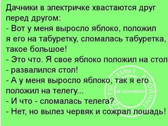 В графе «Семейное положение» Бэлла Ефимовна написала: «Таки довыпендривалась» анекдоты,демотиваторы,приколы,юмор