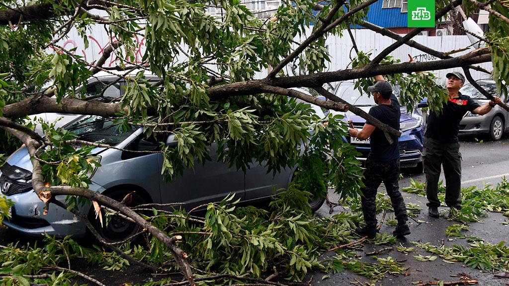 В Москве ликвидируют последствия ураганного ветра