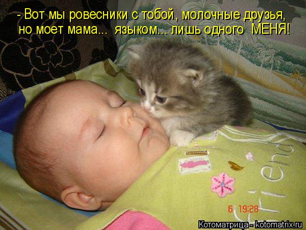 Котоматрица: - Вот мы ровесники с тобой, молочные друзья, но моет мама...  языком... лишь одного  МЕНЯ!