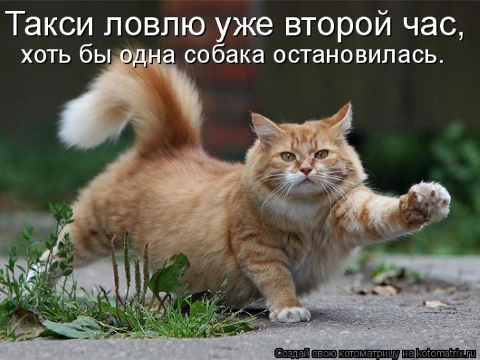 Мысли вслух :)