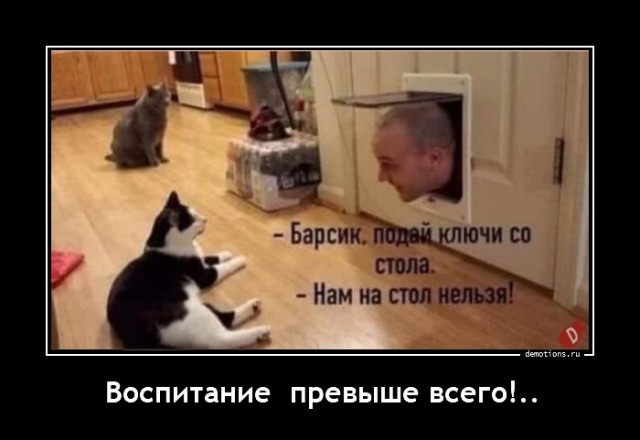 Демотиваторов пост: «Воспитание превыше всего!»