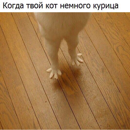 Позитивные картинки с надписями до слез 