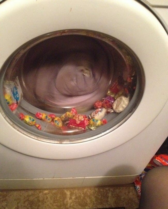Постирал называется: 15 печальных фото, когда стирка пошла не по плану Постирал называется: 15 печальных фото, когда стирка пошла не по плану