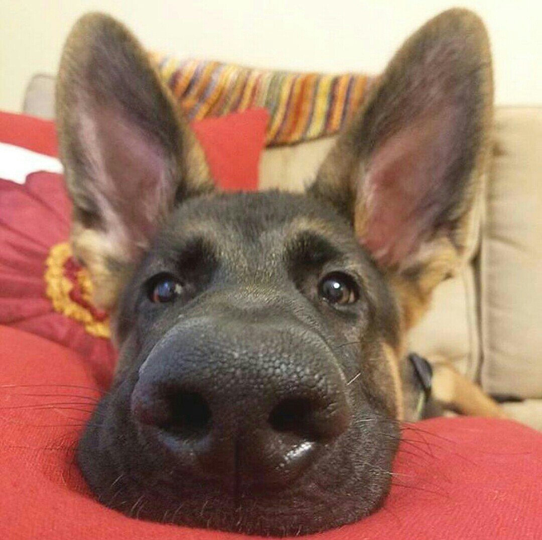 Прикольные картинки и веселые фото с надписью 