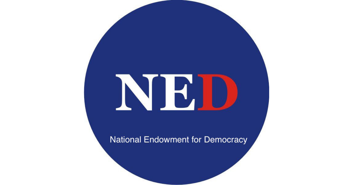 Банк национальный фонд. Ned национальный фонд демократии. Национальный фонд демократии США. Национальный фонд в поддержку демократии ned. Ned логотип.