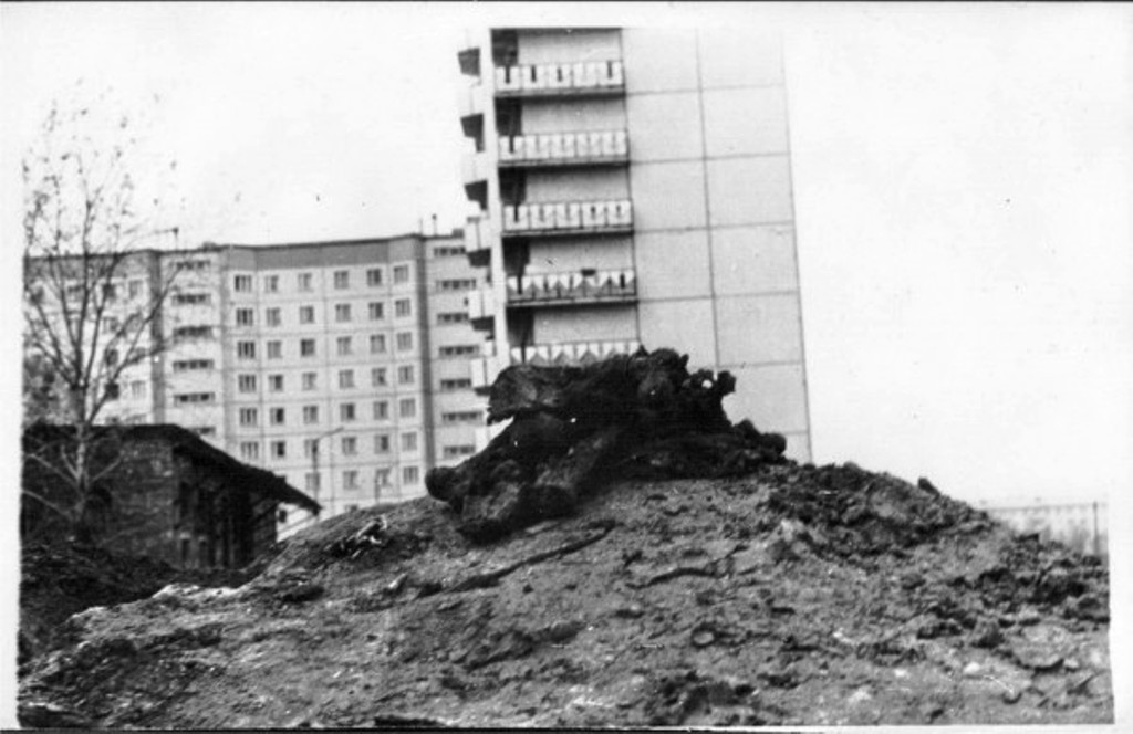 Страшная находка в центре Архангельска Архангельска, страшно, обязаны, массовые, расстрелы, жутко, знают, центре, после, каждый, Сколько, проходим, режимом, загубленных, знаем, Мерзко, непогребенных, лежат,   История, Стыдно