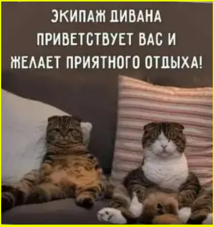 Юмор на сон грядущий в пятницу 