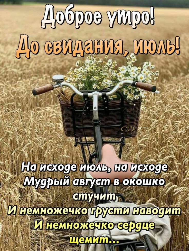 Лучшие короткие шутки в картинках для отличного дня! Лучшие короткие шутки в картинках для отличного дня!