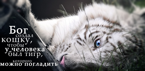 цитаты со смыслом и картинки с цитатами цитаты со смыслом и цитаты в картинках 40