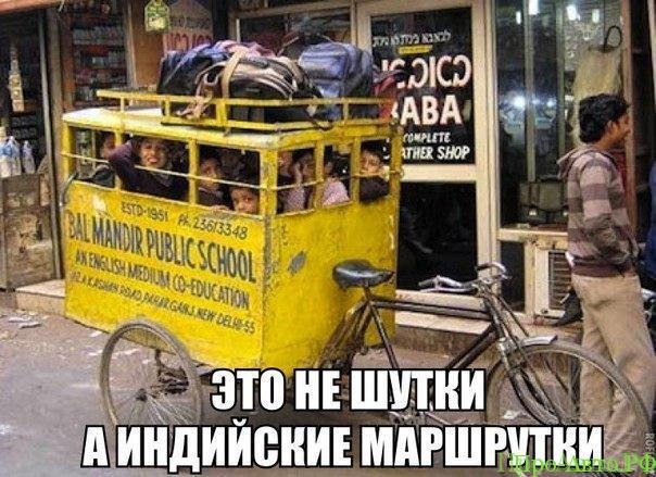 Посадил на ночь собаку охранять машину Посадил на ночь собаку охранять машину авто и мото