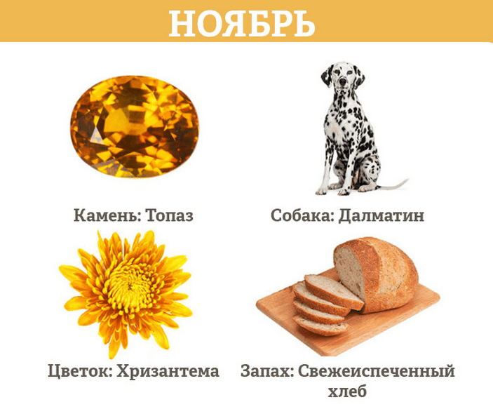 Гороскоп на ноябрь