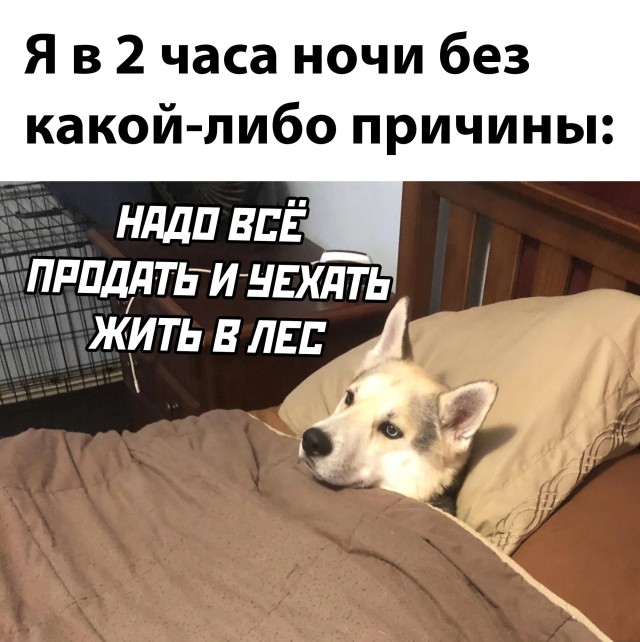 Подборка прикольных картинок  приколы,смешные картинки,юмор