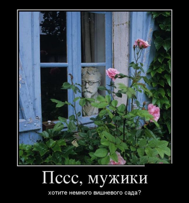 Демотиваторы демотиваторы, прикол, юмор
