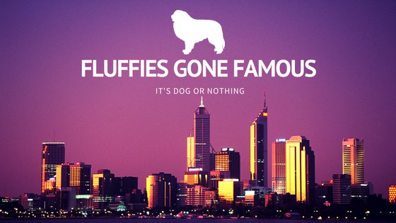 It's Dog or Nothing | #FluffiesGoneFamous