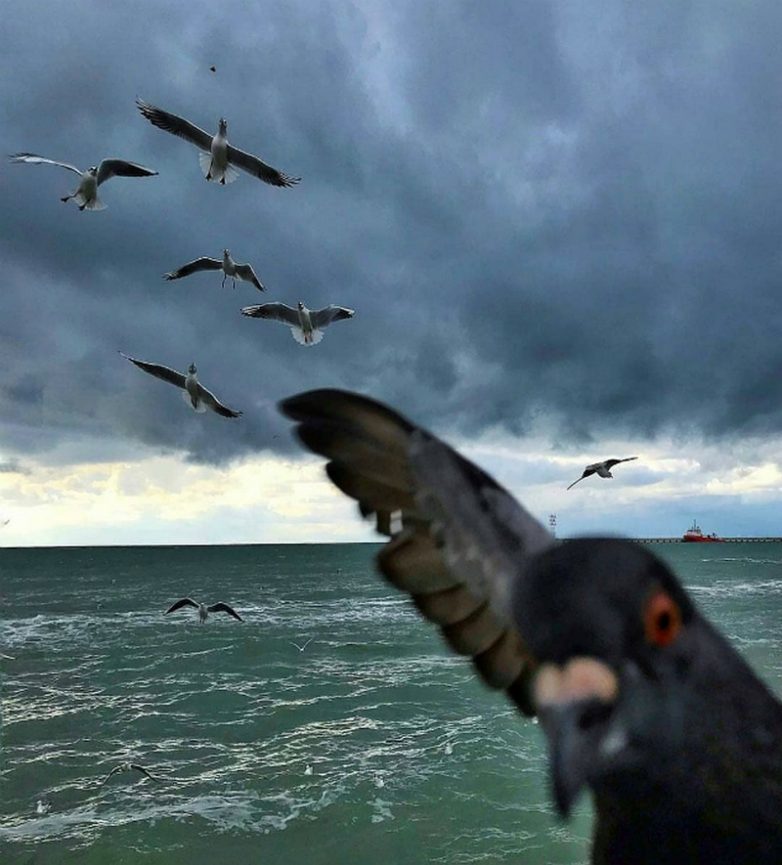 17 случайных кадров, при взгляде на которые невозможно не улыбаться 