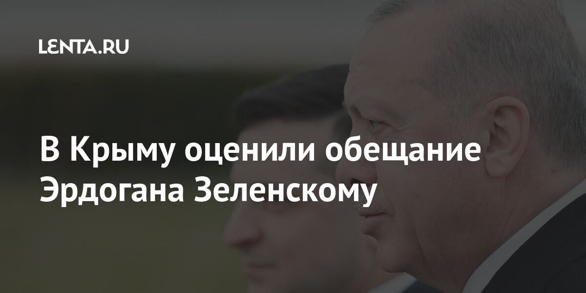 В Крыму оценили обещание Эрдогана Зеленскому Россия
