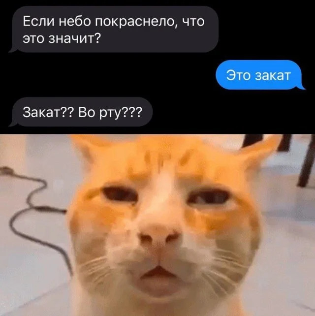 Забавные комментарии, словно острый соус, оживляющие каждый пост Забавные комментарии, словно острый соус, оживляющие каждый пост