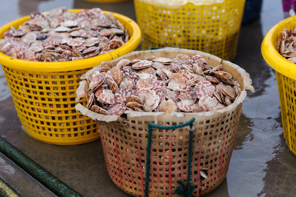 LangchaiMuiNe22 Рыбный рынок в Муй Не