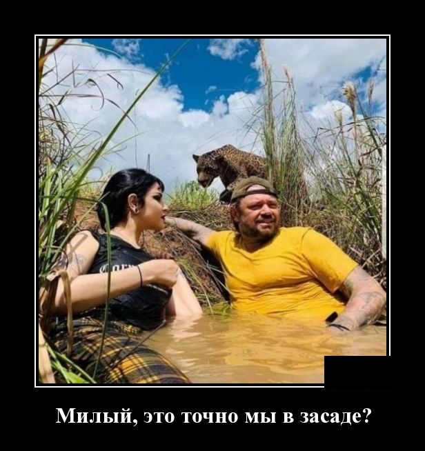 Подборка зачетных и классных демотиваторов для хорошего настроения со смыслом демотиваторы свежие,приколы,смешные демотиваторы,юмор