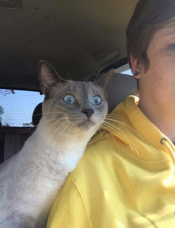 Прикольные и веселые фотографии для улыбки Прикольные и веселые фотографии для улыбки