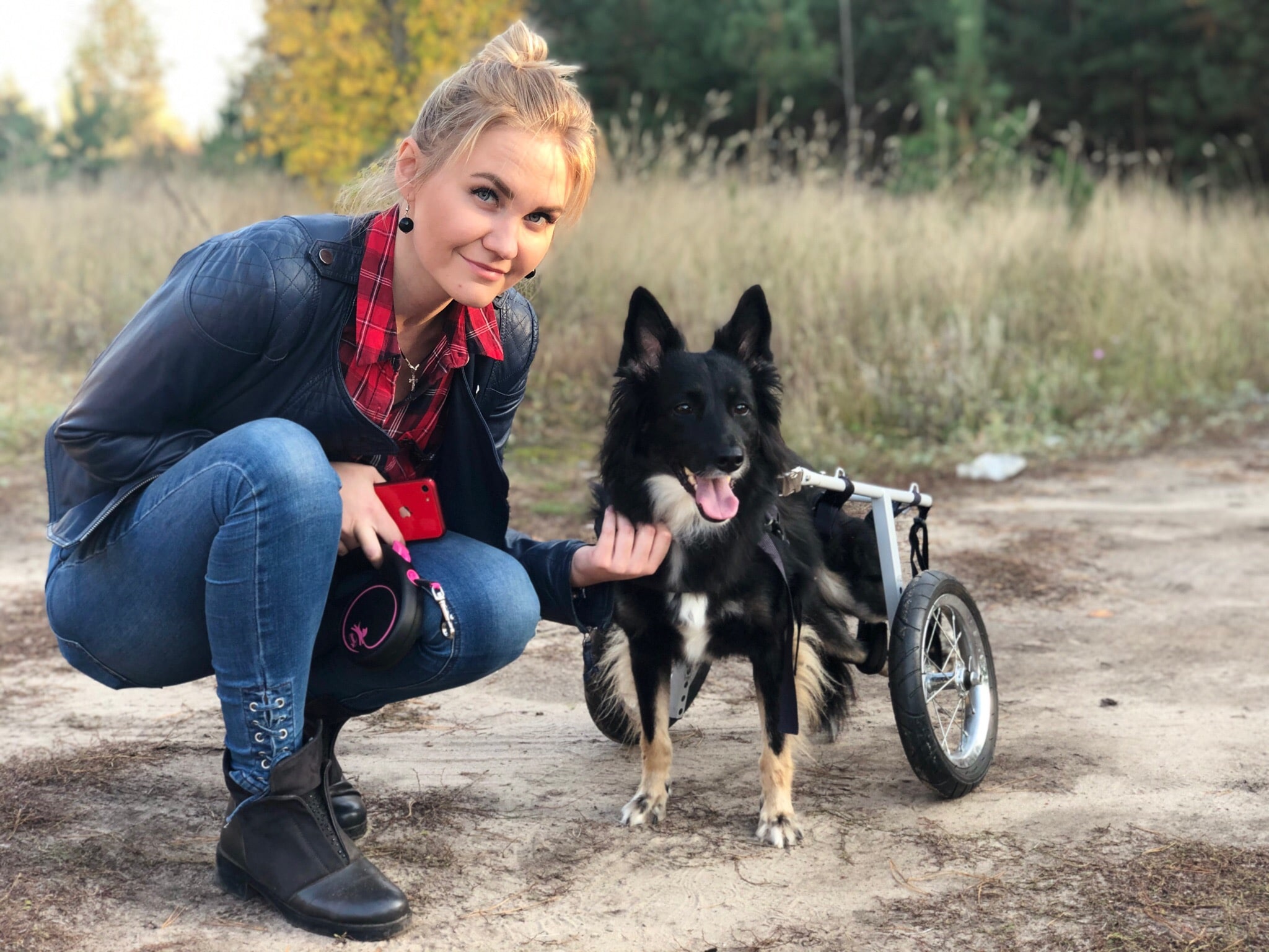 собака-инвалид