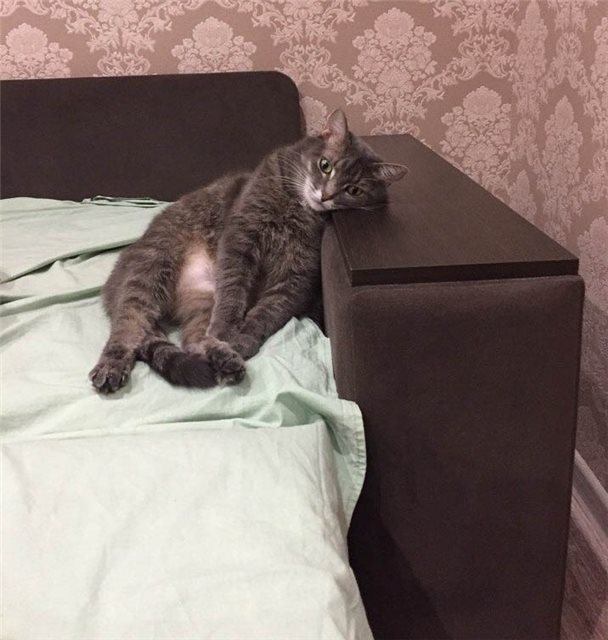 Написала письмо Деду Морозу. Отдала мужу. Жду веселые картинки