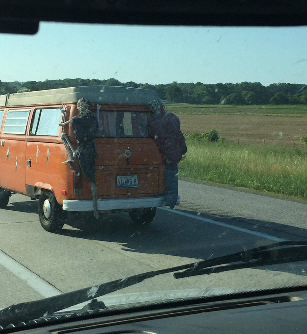 Подборка интересных и веселых картинок со всего света 