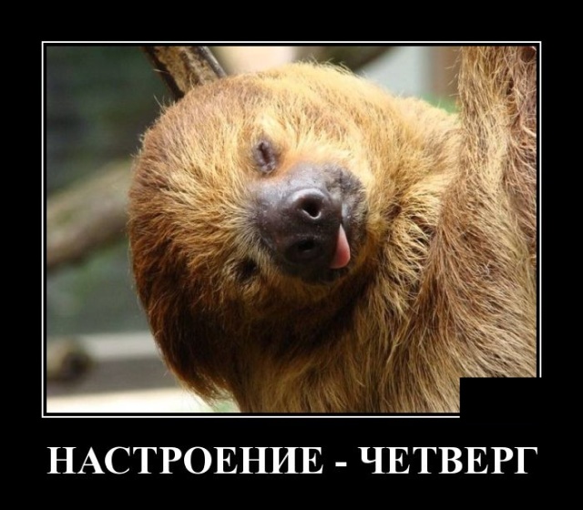 Подборка зачетных и забавных демотиваторов из сети для позитива Подборка зачетных и забавных демотиваторов из сети для позитива демотиваторы свежие,приколы,смешные демотиваторы,юмор