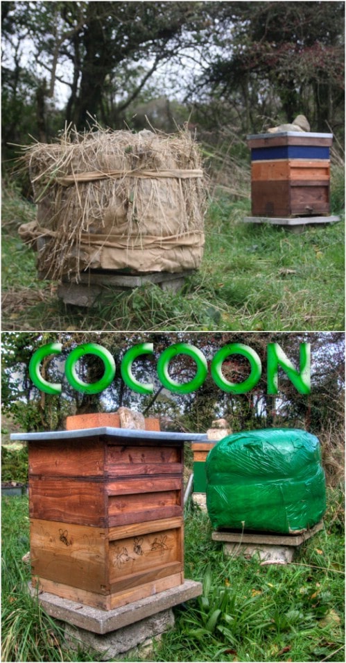 Ульи бывают и такими. 8 функциональных идей в помощь пчеловодам