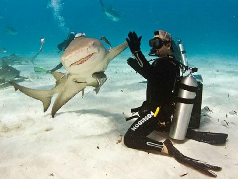 17 случайных кадров, при взгляде на которые невозможно не улыбаться 