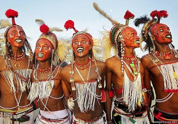 Африканские красавцы Африка,заграница,мир,турист