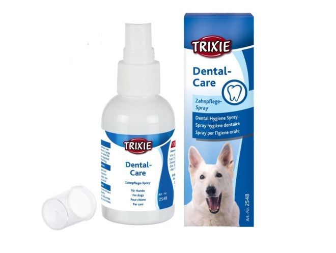 Чистка зубов собаке – выбор подходящего средства, правила чистки, особенности ультразвуковой процедуры наши любимцы,полезные советы