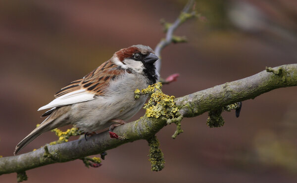 Источник фото: blog.nature.org