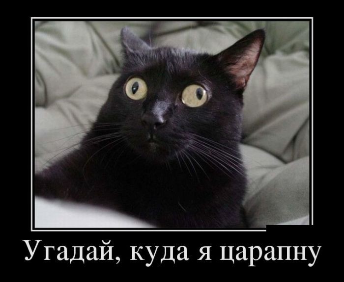 Демотиваторы демотиваторы, прикол, юмор