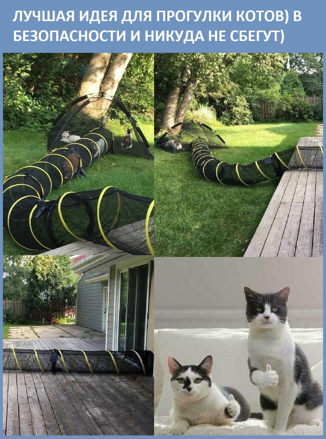 Юмор из интернета 610 Юмор из интернета 610 позитив,смех,улыбки,юмор