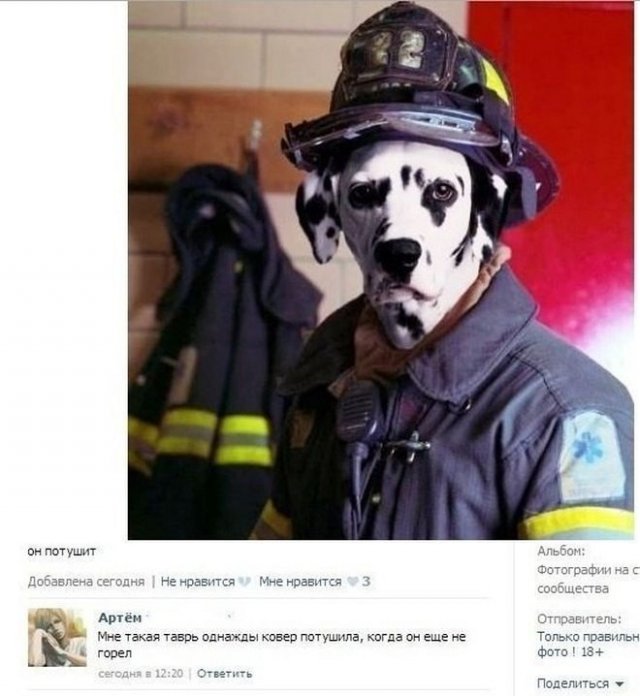 Смешные комментарии с просторов соц.сетей Смешные комментарии с просторов соц.сетей