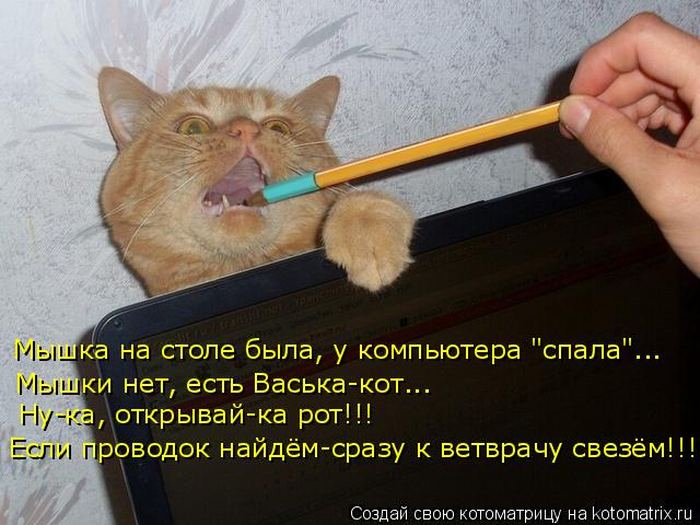 Мысли вслух :)
