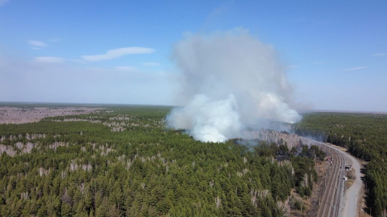 Пятый класс пожарной опасности лесов объявили в Выксунском округе Нижегородской области